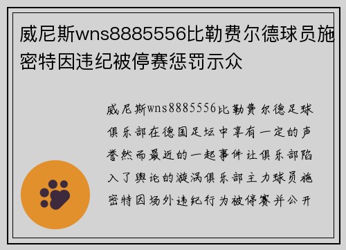 威尼斯wns8885556比勒费尔德球员施密特因违纪被停赛惩罚示众