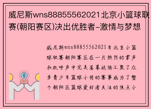威尼斯wns88855562021北京小篮球联赛(朝阳赛区)决出优胜者-激情与梦想的碰撞 - 副本 - 副本
