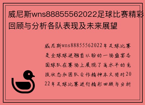 威尼斯wns88855562022足球比赛精彩回顾与分析各队表现及未来展望